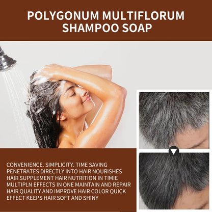 Polygonum Soap