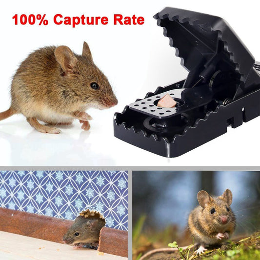 Tomcat heavy duty mouse trap(2 pcs)