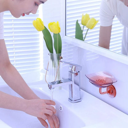 Wall mounted Soap holder