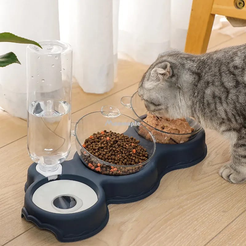 Automatic double pet bowl