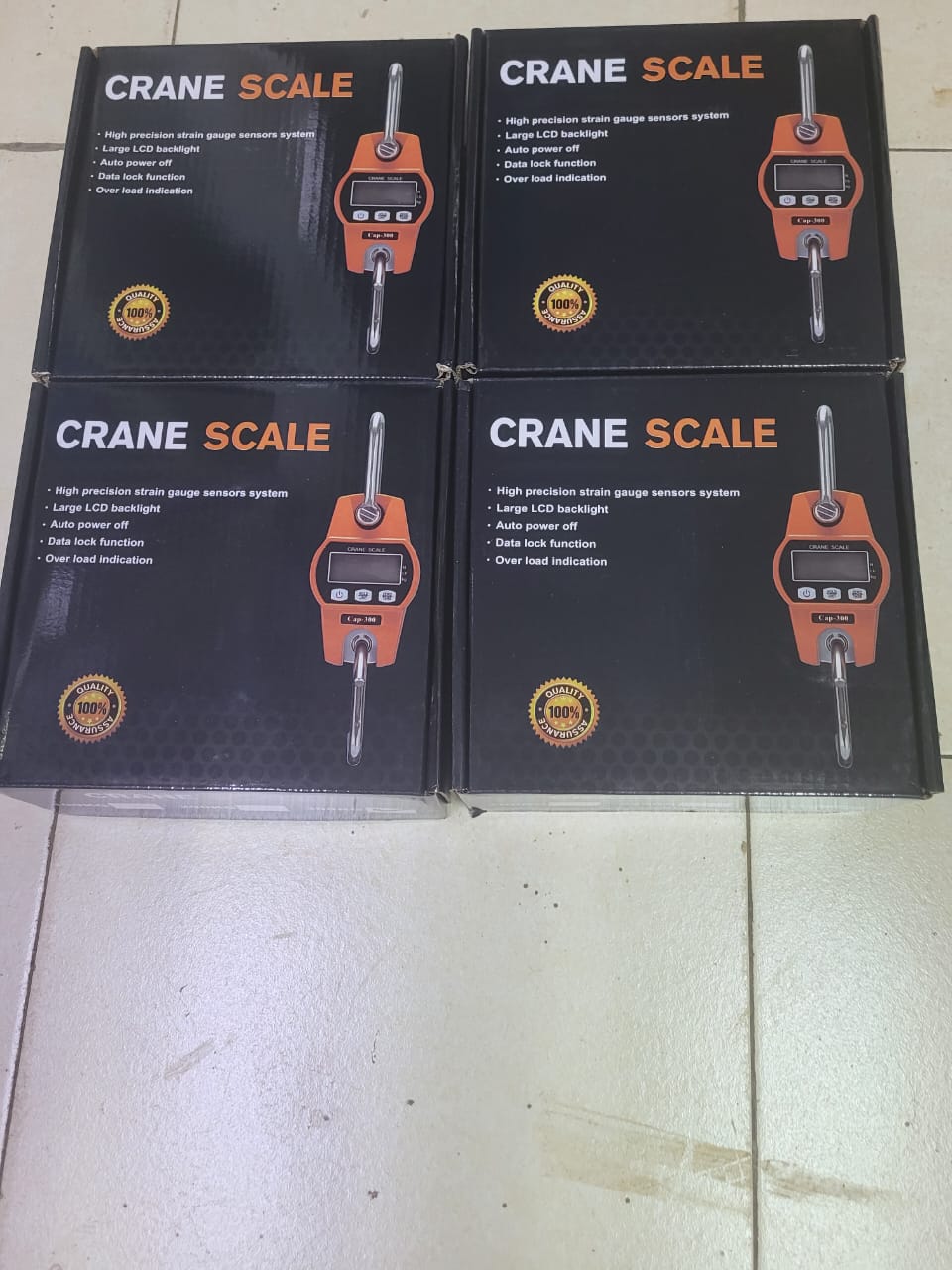 300kg crane scale(1 pc)