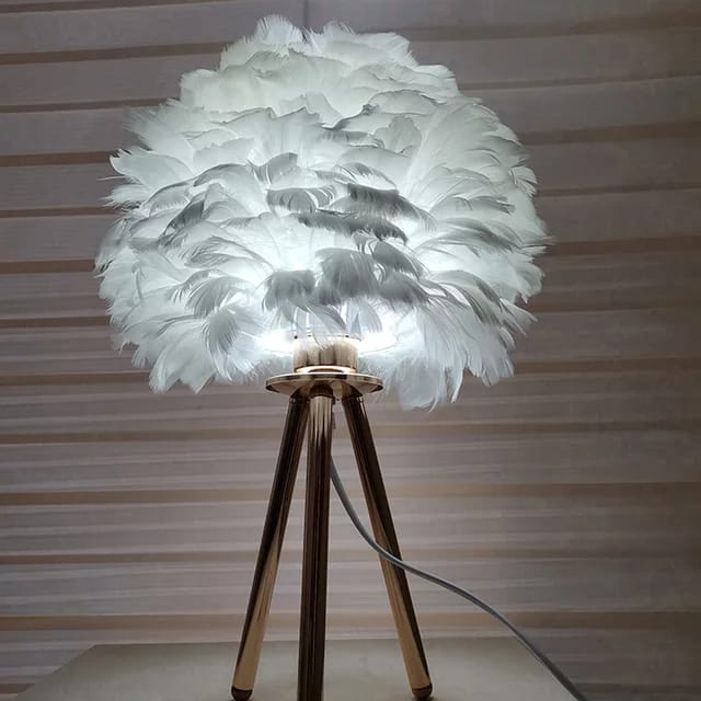 L.E.D Modern Night Feather light