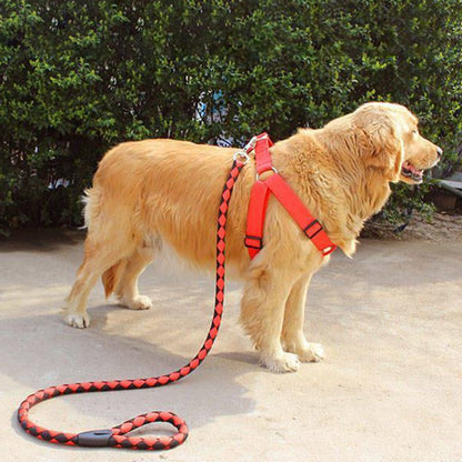 Dog leash / harness with collar