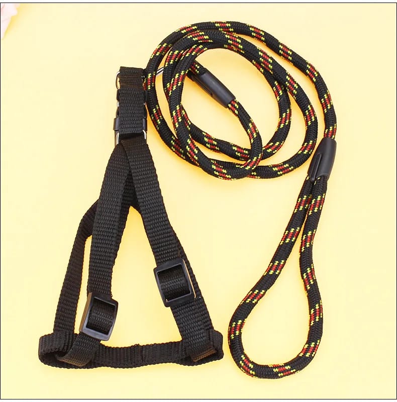 Dog leash / harness with collar