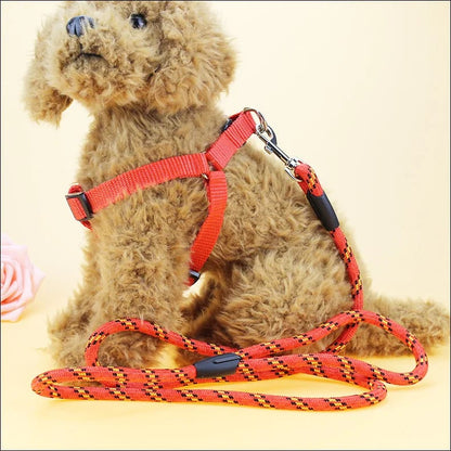 Dog leash / harness with collar