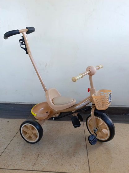 Push Kids tricycle