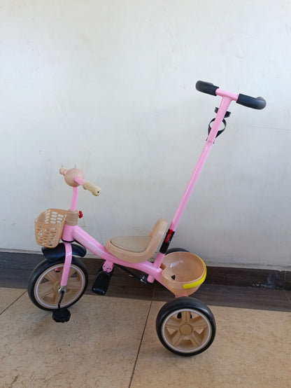 Push Kids tricycle