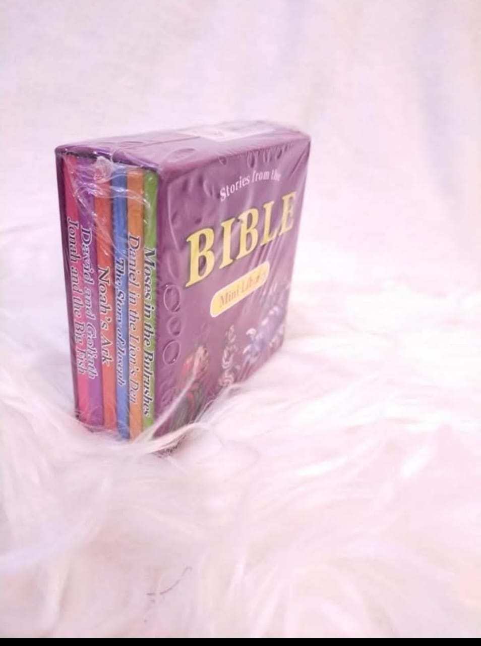 Bible Mini library(6books)