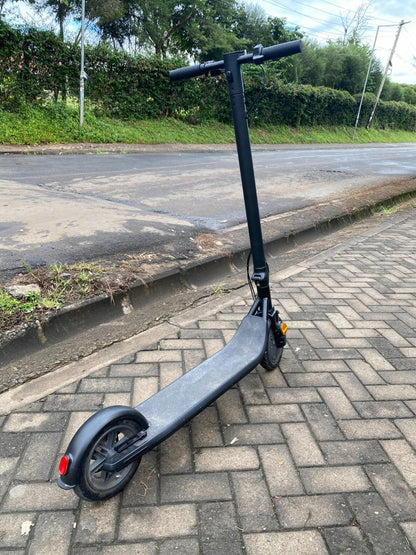 Adult scooter