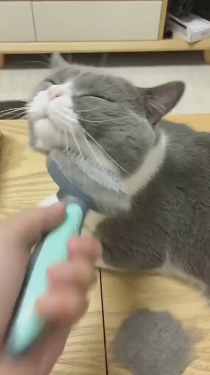 Cat & Dog Grooming Brush