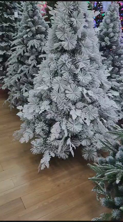 Christmas pine tree(6 feet)