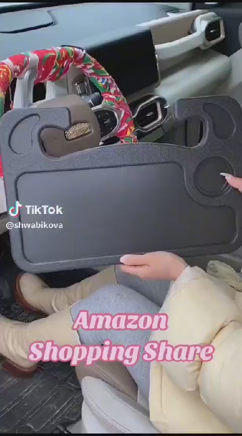 Car travelling holder tray