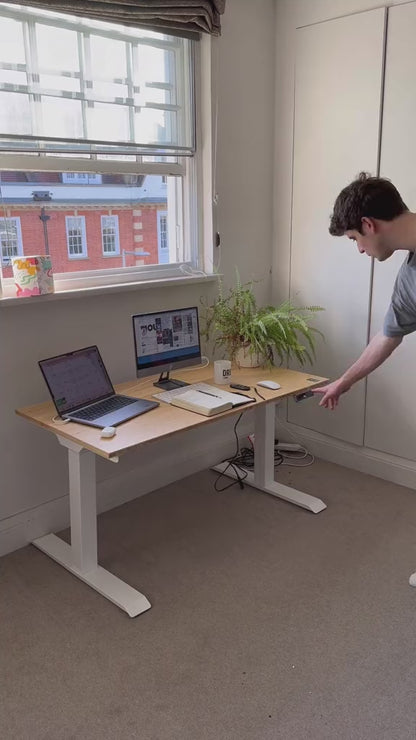 Adjustable Height Electric Standing Desk