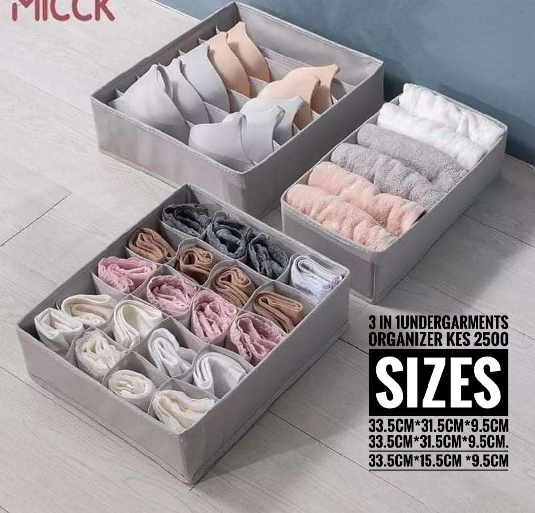 3IN1 UNDERGARMENT ORGANISER - MASTER SUPPLIES