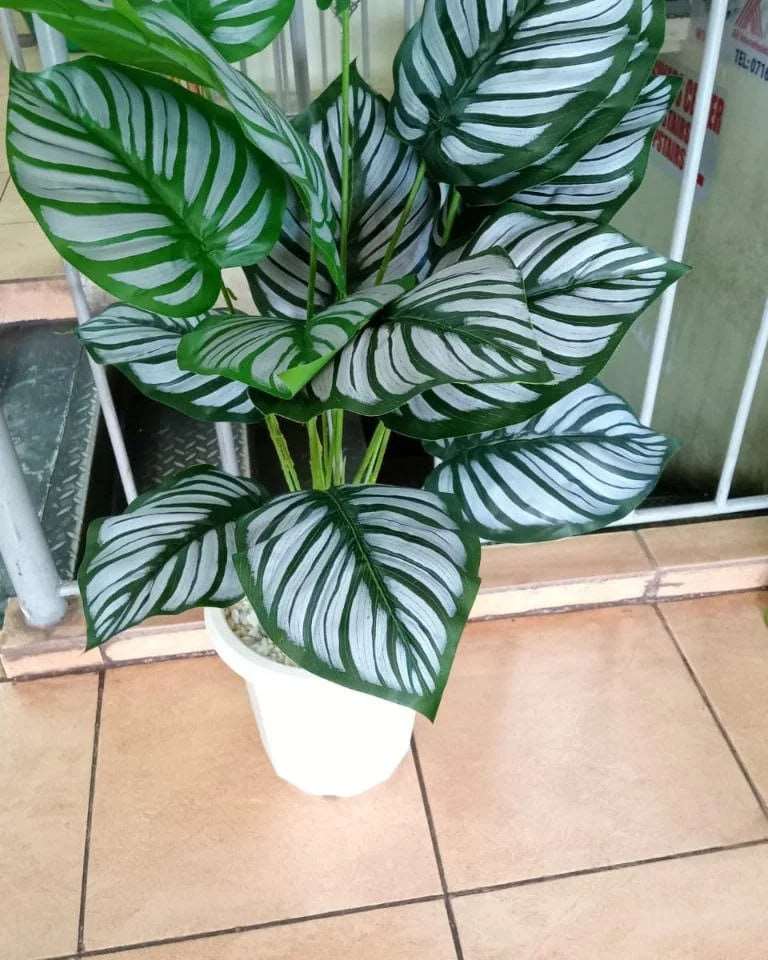 80cm plant with Vase - MASTER SUPPLIES