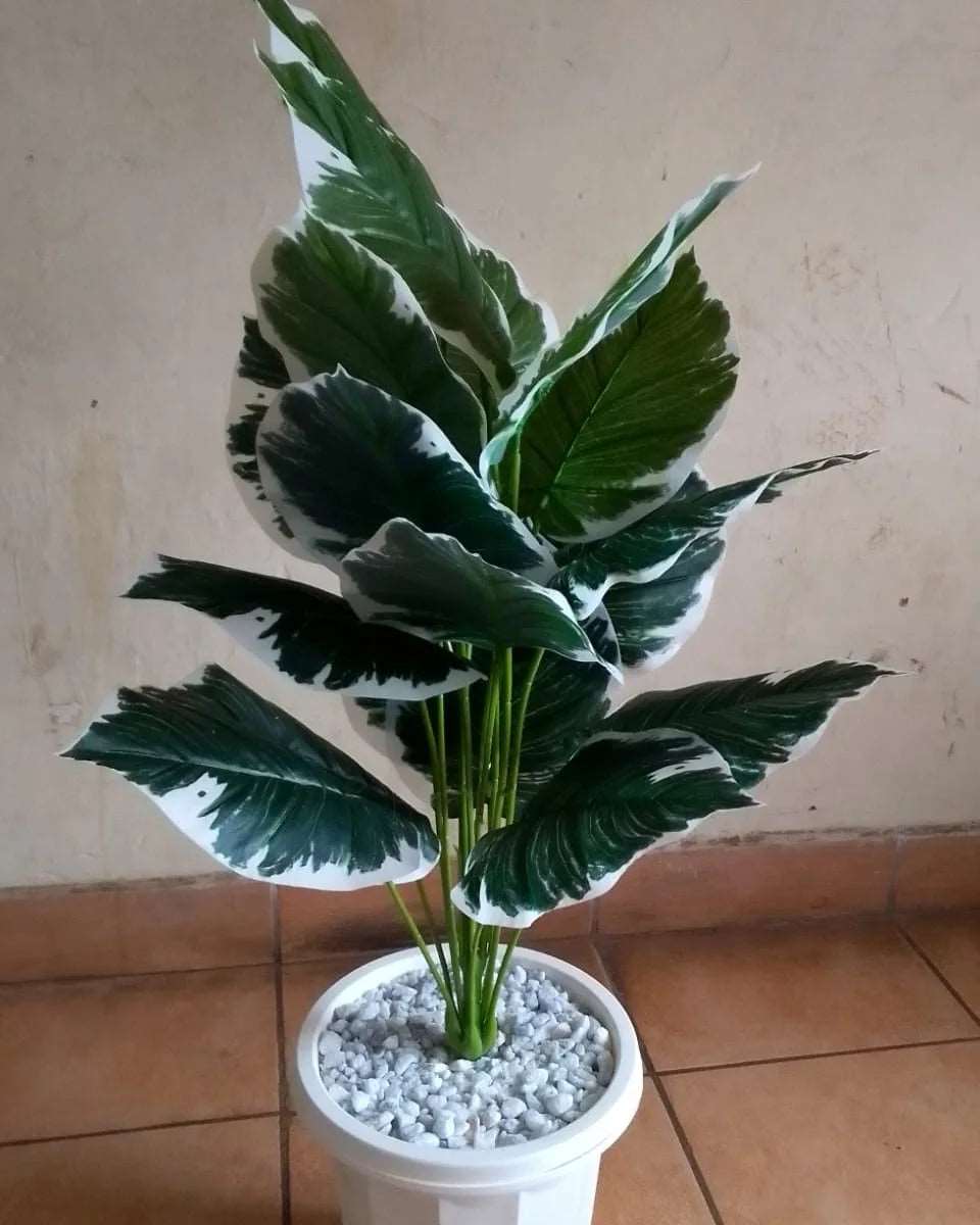 80cm plant with Vase - MASTER SUPPLIES