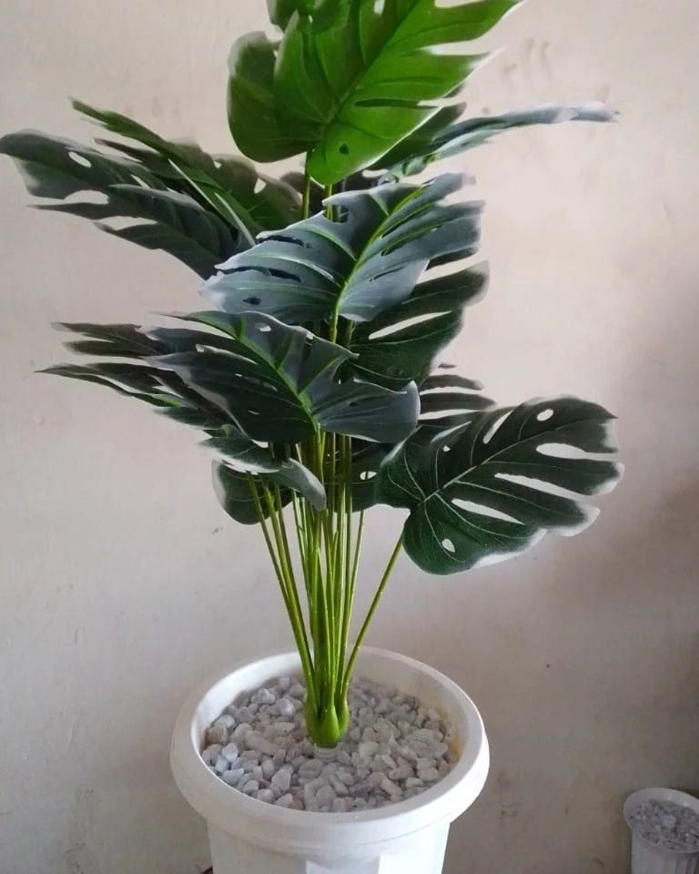 80cm plant with Vase - MASTER SUPPLIES