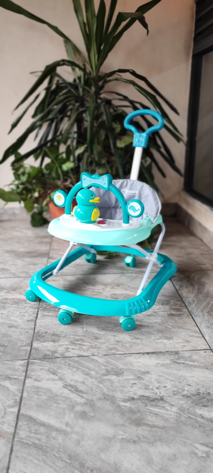 BABY WALKER - MASTER SUPPLIES