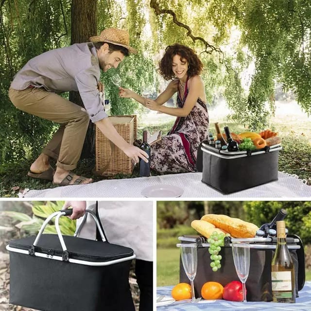 Portable and insulated Design Picnic Bag - MASTER SUPPLIES